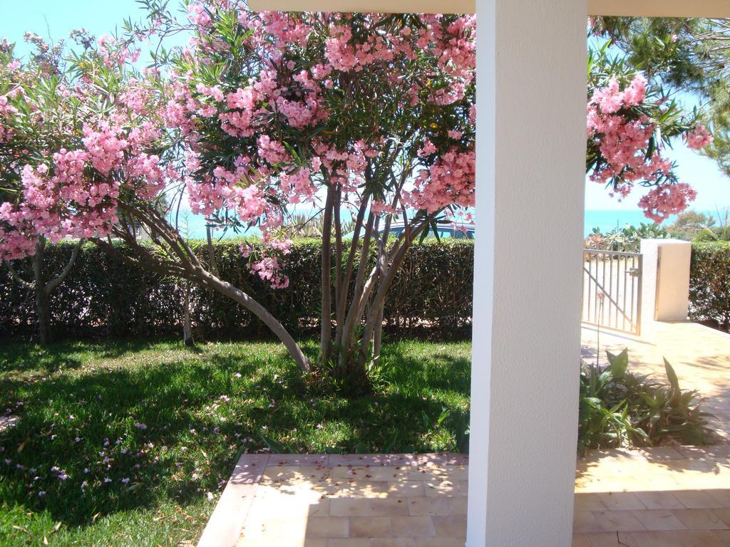 Cala Vigliena Il Sole Negli Occhi Villa Punta Braccetto Phòng bức ảnh