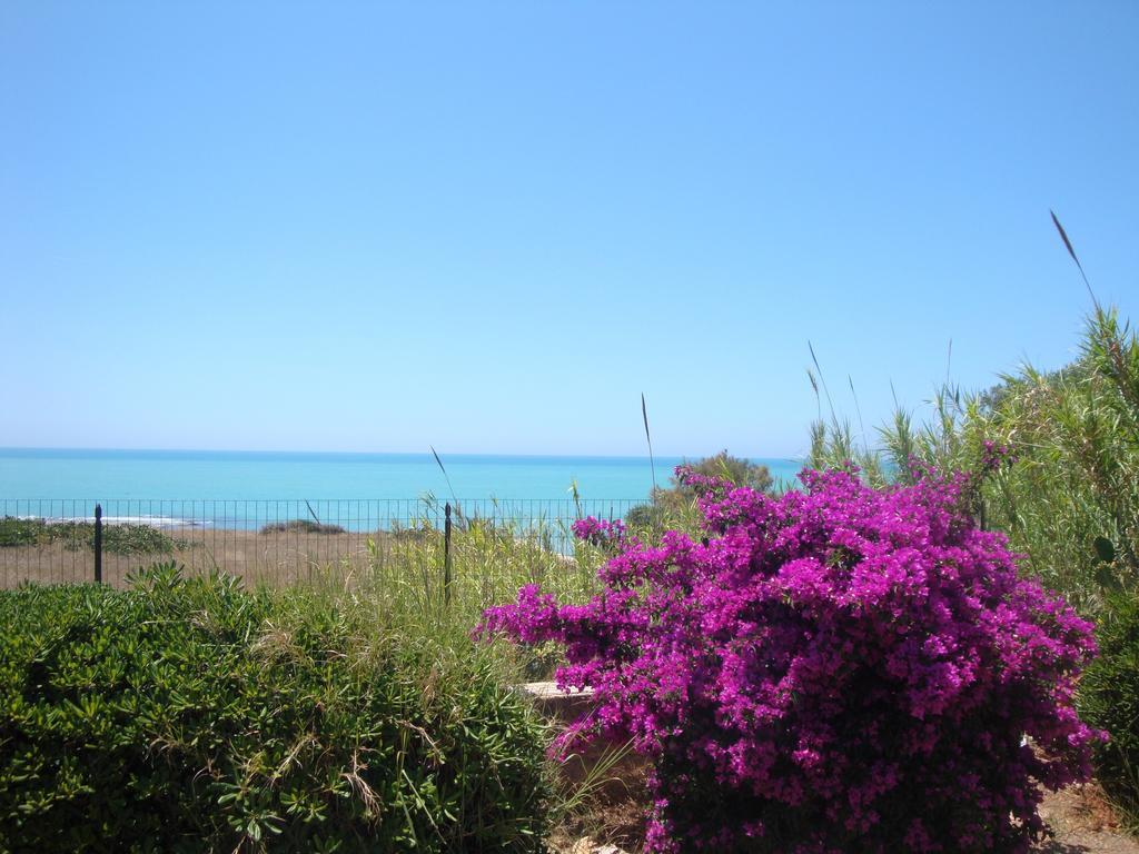 Cala Vigliena Il Sole Negli Occhi Villa Punta Braccetto Phòng bức ảnh